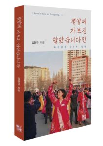 [신간] 평양에 가보진 않았습니다만 - 김한규